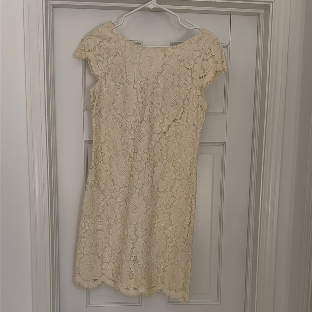 Elegant Cream Lace Dress